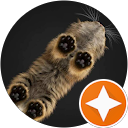 VLBB Tabs 17 J.I.B.E profile picture